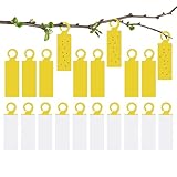 Patifirst Klebefallen Für Fruchtfliegen - 20 Stück Mit Aufhängehaken | Haken Innen Fliegenfänger - Für Zuhause Balkon Gewächshaus Garten Pflanzen Restaurant