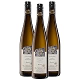 Oberkircher Winzer Scheurebe Auslese - 92,1 PUNKTE GOLD 2025 AWC Vienna - COLLECTION OBERKIRCH - erfrischende Säure mit viskoser Fruchtsüße, Badischer Wein, Anbaugebiet Ortenau (3 x 0,375l)