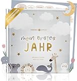 Lebenskompass Babyalbum Mein erstes Jahr 'Air' mit über 75 Stickern & Spruchkarte EXTRA - Ein Baby Buch zum Eintragen - Das Babytagebuch & Erinnerungsbuch für Mädchen & Jungen