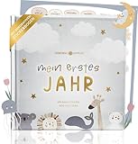 Lebenskompass Babyalbum Mein erstes Jahr 'Air' mit über 75 Stickern & Spruchkarte EXTRA - Ein Baby Buch zum Eintragen - Das Babytagebuch & Erinnerungsbuch für Mädchen & Jungen