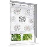 Raffrollo mit Kreis-Motiven Druck Design Rollos Voile Transparent Vorhang (BxH 80x140cm, Braun mit U-Haken)