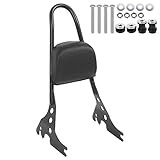 Abnehmbares Motorrad-Rückenlehnenpolster-Kit Passend für XL883C XL883R XL1200R XL1200C XLH883 04-19 (Schwarz) + Sissy Bar