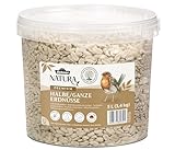 Dehner Natura Premium Wildvogelfutter, halbe / ganze Erdnüsse schalenfrei, Ganzjahresfutter proteinreich / energiereich, hochwertiges Vogelfutter für Wildvögel, 3.4 kg