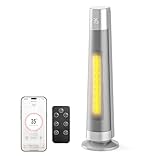 FLANUR Heizlüfter Energiesparend, 2000W PTC Keramik Heizlüfter Leise, Elektroheizung mit Thermostat & Fernbedienung, ECO Modus, 70° Oszillation, 12h Timer, Überhitzungs-Kippschut, Silver, 1Pack