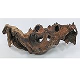 Mopani Wurzel Größe M // Echtholzwurzel Aquariumdekoration Garnelen Zierfische Hard Scape 20cm - 30cm (Mangrove Savanna) Aquascaping Terrarium Wohnraum Deko