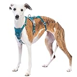 Huntboo Sicherheitsgeschirr Hund Ausbruchsicher, Panikgeschirr für Hunde, Anti Zug Hundegeschirr, Reflektierend, Verstellbare, Leichte Weste für kleine, mittelgroße und große Haustiere (Blau,M)