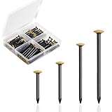 140 Stück Bildernägel, Stahlnägel Set (20/25/30/40 mm) Betonnägel Goldfarben Schwarz Nägel Bilder Aufhängen Rostfreie Nägel mit 4-Fach Box für Einsatz auf Beton Ziegelstein Putz Holz