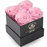 Impouo Rosenbox,Infinity Rosen,Konservierte Rose,Ewige Rose,Geburtstagsgeschenke FüR Frauen, Geschenke FüR Mutter/Freundin/Ehefrau/Oma, Geburtstag, Valentinstag,Ewige Blume