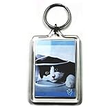 PC3721@ 92033 Schlüsselanhänger, für Foto mit 50 x 35 mm, transparent (5 Stücke)