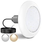 LyLmLe LED Poolscheinwerfer mit Außengewinde 2', 18W Poolbeleuchtung 2 Farben Schaltbar Weiß 3000K & 6000K, 1800lm, Ø242mm, 12VAC Unterwasserscheinwerfer für GFK Fertigbecken Aufstellbecken Holzpool