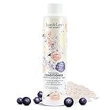 Jean & Len Traumlocken Conditioner Reiswasser & Açaibeere, für lockiges & welliges Haar, bekämpft Frizz und schenkt Geschmeidigkeit, Haarconditioner, ohne Parabene & Silikone, vegan, 300 ml