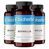Weihrauchkapseln – 300 Stück mit Boswellia Serrata & Zink zur Erhaltung normaler Knochen – von BIOHERBA | PZN 17190878