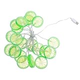 SOIMISS USB LED Lichterkette Limettenform 3m 20 Leds Wiederaufladbar für Innen Außen Schlafzimmer Hochzeitsdeko