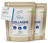 Collagen Pulver - Bioaktives Kollagen Hydrolysat Peptide, Eiweiß-Pulver Geschmacksneutral, Wehle Sports Made in Germany Kollagen Typ 1, 2 & 3 Lift Drink (2x500g)