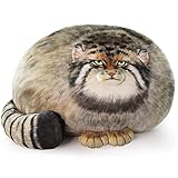 OUKEYI 40 cm großes Katzen-Plüsch-Kissen, niedliche Steppe-Katze, gefüllte Tiere, dicke Katze, Kawaii-Kissen, Kätzchen, Plüschkissen, Puppe, großes Plüschspielzeug, Jungen, Freundin