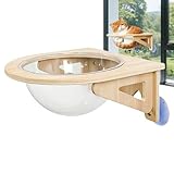 Katzenregale für die Wand,Durchsichtige Blasen-Saugnapf -Lounge,Fensterliege für Katzen | Geeignet Für Wohnzimmer, Zuhause, Innenbereich, Wohnung, Ecke, Arbeitsplatz Und