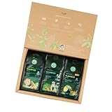 LEBENSBAUM Bio Kaffee Geschenkset Herkunftskaffee ganze Bohne, Bio-Kaffee Set aus Äthiopien Kaffee ganze Bohne (250 g), Kolumbien Kaffee ganze Bohne (250 g), Plantagen Kaffee ganze Bohne (250 g)