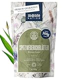 Spitzwegerich Tee Monte Nativo (300g) - Schonend geschnitten und getrocknet Spitzwegerichblätter - 100 % natürlich und ohne Zusatzstoffe - Aromatischer Kräutertee für einen köstlichen Aufguss
