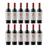 Terre Avare Primitivo di Manduria DOC Rotwein Rot süss Italien inkl. FeinWert E-Book (12 x 0.75 l)