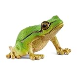 schleich WILD LIFE | Europäischer Laubfrosch 14882 | detailgetreue Tierfiguren | Zoo Spielzeug | tolles Geschenk für Jungen und Mädchen | Deko für Geburtstag | Spielfigur ab 3 Jahren | 4 x 5 x 3 cm