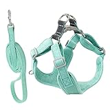 HOMOBABE 1 Set Haustiergeschirr Bandana Für Hunde Coyote Leine Kühlung Für Hunde Mittelgroßes Hundegeschirr Kein Hundegeschirr Welpentragetuch Haustierhund Sanfter Chihuahua