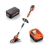 Fuxtec Akku Rasentrimmer E312D 40V Lithium li Batterie Geräte wie Motorsense Freischneider/Trimmer, Set mit Akku 2.0Ah/EP20 und Ladestation EC20 für maximale Mobilität