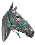 ARBO-INOX Knotenhalfter einfach ohne Führstrick Sonderangebot (Full WARMBLUT, GRÜN)