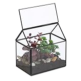 Relaxdays Pflanzenterrarium, Glas & Kupfer, 15x15x10 cm, Deko Glashaus Kakteen & Moos, Glaskasten Fensterbank, schwarz