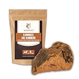 Wildfang® 1 Kauwurzel Hund (Größe S) – Natürliches Kauholz aus Baumheide – Langlebiges & splitterfreies Kauspielzeug – Zahnpflege & Beschäftigung – Alternative zu Kaffeeholz