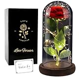 Ewige Rose im Glas Die Schöne und das Biest Ewige Rosen, Geschenke für Frauen Rose Geschenk für Mama, in Einer Glaskuppel mit LED-Lichtfür Frau am Muttertag Geburtstag Valentinstag Jahrestag
