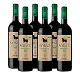 Osborne Solaz Tempranillo Trocken BIO - Fruchtiger Rotwein aus der spanischen Wein-Region Tierra de Castilla in Bio-Qualität mit 13,5% vol. (6 x 0,75l)