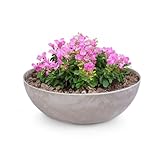 matches21 Pflanzschale für draußen - große Dekoschale Sand grau marmoriert als Blumentopf Pflanztopf - Schale in 30 x 9 cm für Garten, Balkon oder Friedhof als Grab-Schmuck