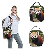 OUSIKA Little Red Panda Lunchtasche für Damen und Herren, wiederverwendbar, isoliert, für Reisen, Lunchbox, Lunchbox, tragbare Lunchbag für Arbeit, Picknick, Camping