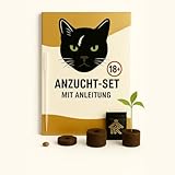 HOMEKING Anzuchtset – Beliebte Mix-Edition (3er Set) inkl. Jiffy, Pipette & Anleitung – Indoor & Fensterbank (BeStS_3F)