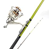 Teleskop-Angelrute und Metallrolle, Kombi-Set, Angelrute für Reisen, Salzwasser, Süßwasser, Boot, Angeln, Anfänger, Angelrute (1,5 m)