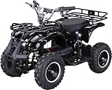 Actionbikes Motors Kinder Elektro Miniquad ATV Torino 𝟭𝟬𝟬𝟬 Watt 36 Volt - Scheibenbremsen - Umweltfreundlicher Elektromotor (1000 Watt Schwarz)