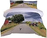 okoikfc Bettwäsche 200x200, 3D Bauernhof Huhn Winter Weiche GebüRstet Mikrofaser Bettzeug Set, Bettbezug + 2 Kissenbezug 80x80 cm mit ReißVerschluss