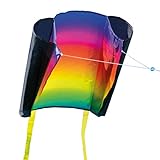 CIM Einleiner-Drachen - Beach Kite Prism - für Kinder ab 3 Jahren - Abmessung: 74x47cm - inkl. 80m Drachenschnur und Streifenschwänze