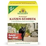Neudorff Protectan Katzen-Schreck – Anwendungsfertiges Fernhaltemittel vertreibt Katzen wirkungsvoll, ohne sie zu schädigen - ausreichend für 20m², 200 g