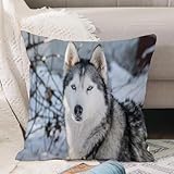 VJIZLOQB Kissenbezug 50x50cm Dekokissen Polyester Sofakissen,Kissenbezüge,für Sofa Schlafzimmer Wohnzimmer Outdoor Kissenhülle,Siberian Husky mit blauen Augen im Schnee