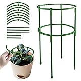 Pflanzenstütze Pfahl Garten Blumenstütze Pflanzenstütze Ring Pflanzen Klettergitter Plant Sticks Support Plant Stakes für Pflanzen Blumen Gemüse, Rose, Tomate, Lilie, Hortensie (Grün)