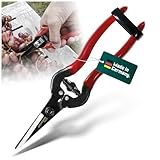 BERGER Traubenschere 1600 | filigrane Ernte- und Trimmschere | Gartenschere mit Elastikverschluss & Kälteschutz-Griff | Ergonomische Rebschere | Für Grünschnitt, Obsternte, Floristik, Kräuter