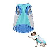 WJnflQN Kühljacke für Hunde, Kühljacke für Hunde - Reflektierende Hunde-Sommerkleidung,Bequeme und atmungsaktive Hundejacke, kühlere Hundeweste für Outdoor-Jagdtraining und Camping