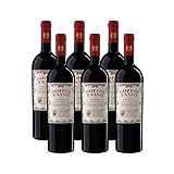 Doppio Passo Primitivo Puglia, Rotwein Italien, 6 x 750ml