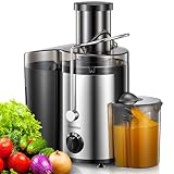 Reemix Entsafter Gemüse und Obst, Max Juicer Machine aus Edelstahl mit 3 Geschwindigkeitsstufen (Black, 500W)