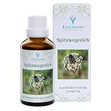 Evolution Spitzwegerich Tinktur 50ml