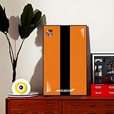 Display-Wandhalterung für Le-Go Technic 42169 Formula E Baustein-Modell, für Autoliebhaber, Fotorahmen, Präsentationsständer, 30 x 50 cm, nur Display-Wandtafel (Typ B)