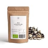 Steinpilze-Getrocknet-Bio Bruch 300g