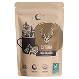 LYKAIA Waldkakao 200 g - dein Mushroom Kakao mit Reishi Extrakt und Ashwagandha, Ritual Kakao für abends mit Bio Kakaopulver und funktionellen Pilzen