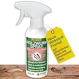 GREEN GUARDIA Holzwurm Abwehrspray 500 ml - Sprühfertiges Konzentrat mit Langzeitwirkung gegen Holzbock & Holzwurm - Mittel gegen Holzwürmer für innen - Effektives Holzwurmmittel & Holzwurmschutz